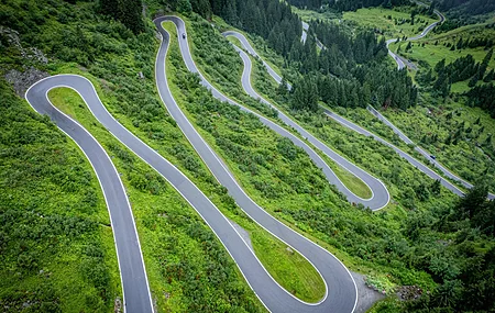 道路 森林 树木 绿色 山脉 自然 风景 丘陵 草地 户外 4K壁纸 5464×3640