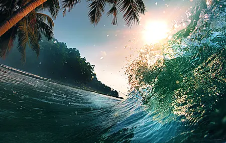 经典海浪 棕榈树 水 自然 阳光 无水印壁纸 5000×3105