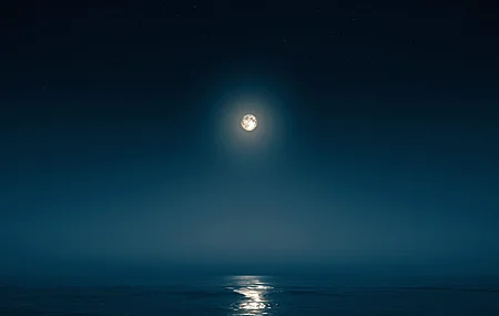 月光 夜晚 午夜 风景 海洋 月亮 黑暗 满月 4K高清壁纸 3840×2160