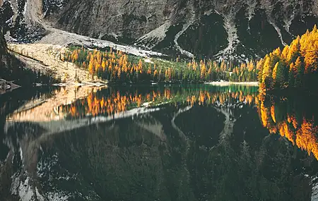 风景 自然 湖泊 水 倒影 森林 树木 山脉 手机壁纸 6000×4000