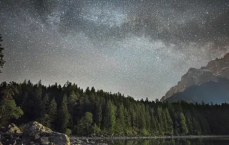 经典地下城 森林 星夜 树木 湖泊 山脉 景观 自然 壁纸 6000×4005