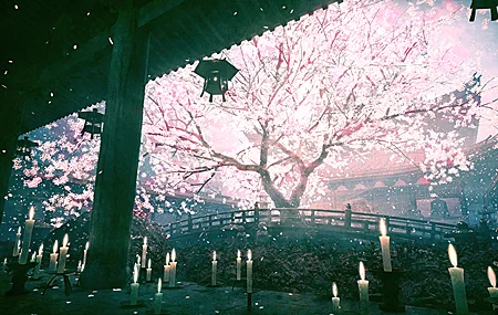 精选寺庙 樱花 禅宗花园 蜡烛 手机壁纸 3840×2160