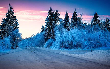 精选冬天 户外 冰 寒冷 雪 道路 紫色天空 阳光 4K壁纸 3840×2160