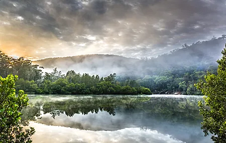 热门风景 树木 自然 湖泊 壁纸 5120×2880