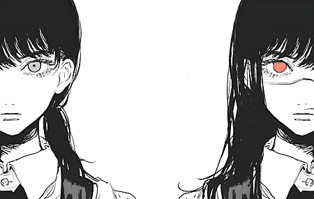 经典长发 脸 电锯人 动漫女孩 动漫 漫画 极简主义 简单背景 无水印壁纸 3840×2400