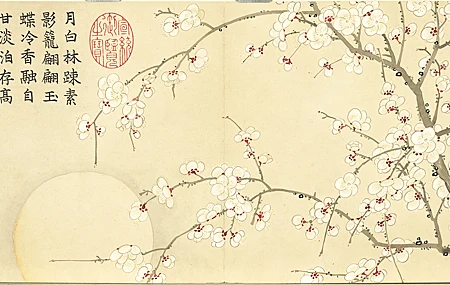 热门梅花 插图 汉字 简单背景 中文 鲜花 极简主义 高清壁纸 5322×2702