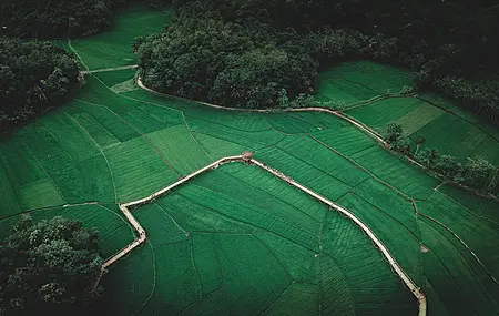超清风景 鸟瞰 农场 树木 田野 草地 森林 自然 远景 绿色 4K壁纸 3968×2645