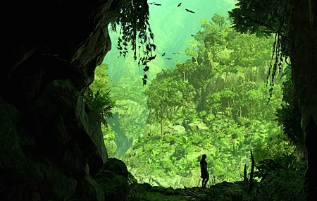 精选电子游戏 古墓丽影 屏幕截图 风景 丛林 壁纸 6758×3175