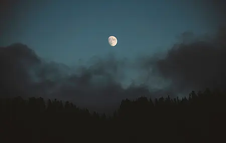 超清自然 云彩 松树 森林 月亮 月光 夜晚 天空 壁纸 4096×2731