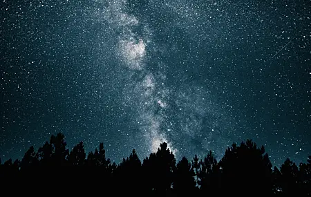 夜晚 天空 繁星 夜 夜空 蓝色 银河 树木 黑暗 黑色 天文 星云 彗星 星星 4K高清壁纸 4896×3264