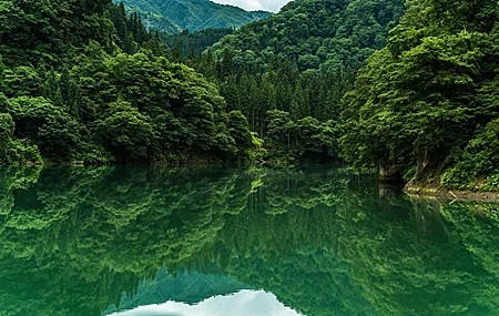 树 山 水 湖 桌面壁纸 4000×2670