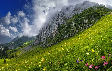 花卉 自然 风景 山脉 无水印壁纸 3840×2160