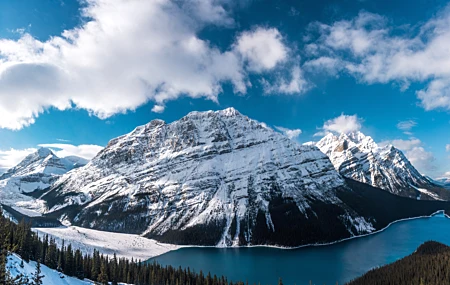 热门风景 自然 雪 森林 湖泊 4K壁纸 7000×3723