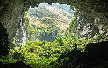 高清自然 洞穴 丛林 岩石 山脉 壁纸 4255×2840