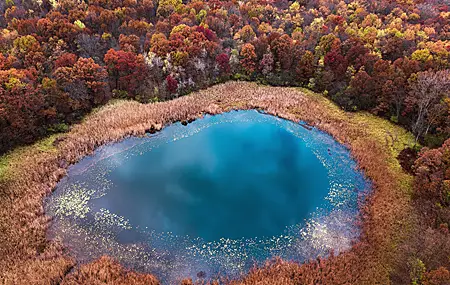 自然 秋天 树木 池塘 水 4K高清壁纸 3990×2989