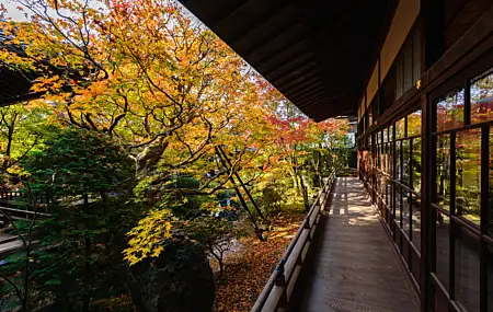 超清自然 城市 建筑 花园 壁纸 6016×4016