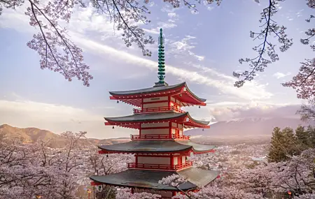 热门摄影 风景 樱花 花 自然 山 云 宝塔 建筑 高清壁纸 5958×3972