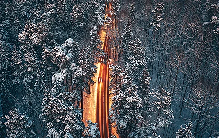 精选道路 树木 雪地 户外 森林 冬季 壁纸 3840×2160