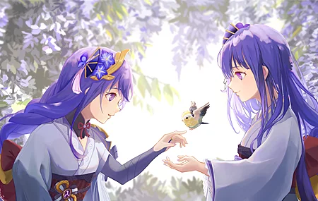 紫色头发 长发 双胞胎 动漫 游戏 女孩 服装 原神 4K高清壁纸 4800×2700