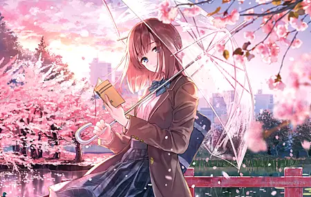 黑发 蓝眼睛 花 女学生 红头发 动漫 女孩 雨伞 鲜花 樱花 背包 校服 书籍 花瓣 夕阳辉光 领结 壁纸 5120×3246