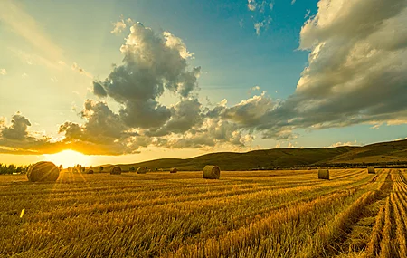 自然 风景 秋收 麦田 夕阳 阳光 4K高清壁纸 3840×2160