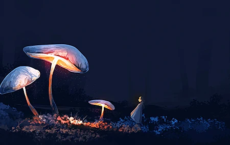 经典动漫 女孩 蘑菇 植物 夜晚 森林 高清壁纸 5640×2400
