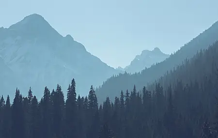 森林 山脉 风景 树木 自然 壁纸 5040×3359