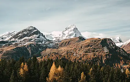热门风景 山脉 雪 森林 自然 高清壁纸 4608×3072