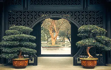 绚丽中国 植物 树木 盆景 建筑 对称 和平 门口 4K壁纸 3840×2160
