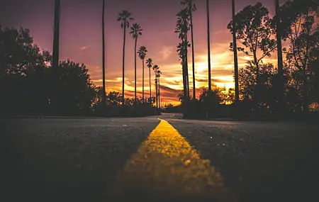 精选风景 自然 道路 夕阳 棕榈树 沥青 剪影 橙色 天空 无水印壁纸 5279×3519