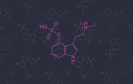 药物 化学 分子模型 迷幻 极简主义 五颜六色 神奇的蘑菇 蘑菇 裸盖菇素 无水印壁纸 5120×2880