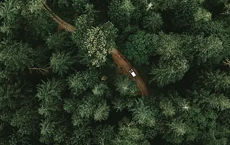树木 绿色 自然 森林 吉普车 壁纸 3936×2214