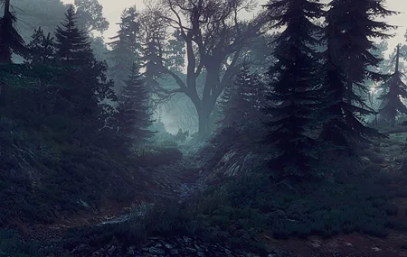 高清巫师 狂野狩猎 风景 手机壁纸 5760×2468