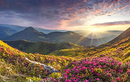 超清自然 风景 山脉 花朵 杜鹃 石头 日出 天空 云 高清壁纸 3840×2160