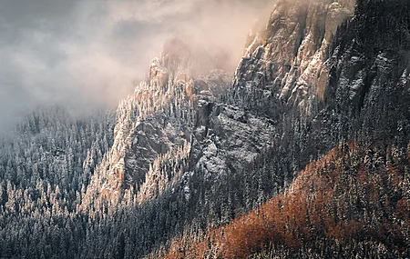 热门景观 山 树木 森林 8纸 高清壁纸 8992×3854