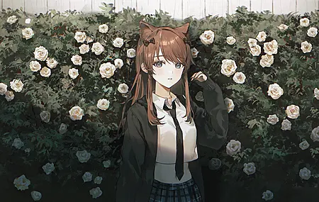 超清猫女孩 白玫瑰 大自然 卡哇伊 裙子 鲜花 无水印壁纸 3840×2160