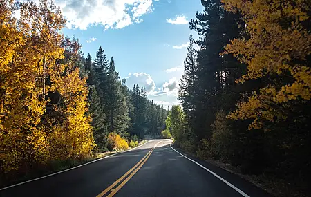 道路 森林 树木 沥青 风景 秋天 林中的公路 桌面壁纸 3840×2160