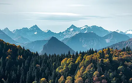 风景 自然 山脉 森林 树木 天空 云 手机壁纸 3840×2160