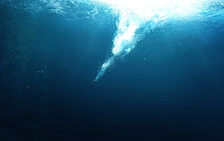 华视 动漫 水下 电脑 4K高清壁纸 3909×2198