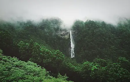 森林 风景 瀑布 薄雾 电脑 4K高清壁纸 4352×2448