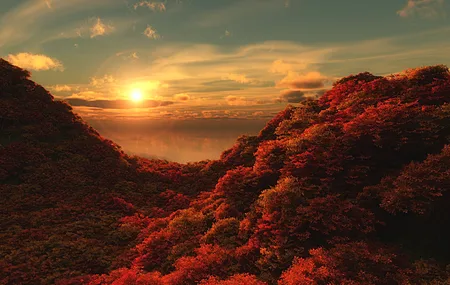 绝美秋天 景观 太阳 天空 树木 云 自然 森林 丘陵 阳光 电脑 手机壁纸 3840×2160
