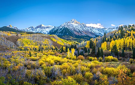 自然 风景 森林 天空 秋天 山 树 电脑 壁纸 3840×2160