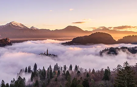 薄雾 风景 山脉 天空 教堂 森林 雪峰 摄影 斯洛文尼亚 树木 布莱德湖 岛屿 电脑 壁纸 5031×2831