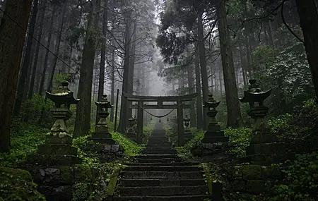 精选森林 寺庙 热带森林 亚洲 黑暗 薄雾 电脑 4K壁纸 5120×3416