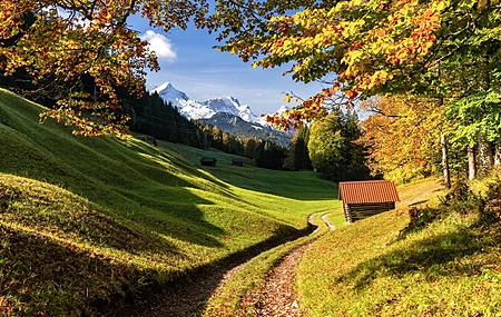 自然 风景 树木 土路 秋天 小屋 山脉 树叶 雪峰 草 丘陵 森林 德国巴伐利亚州 电脑 4K高清壁纸 6144×4096