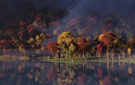 热门湖泊 树木 自然 风景 薄雾 反射 水 电脑 高清壁纸 4096×2304