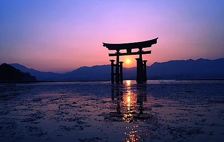 热门日落 太阳 傍晚 紫色 鸟取 阳光 山脉 摄影 电脑 高清壁纸 3840×2160