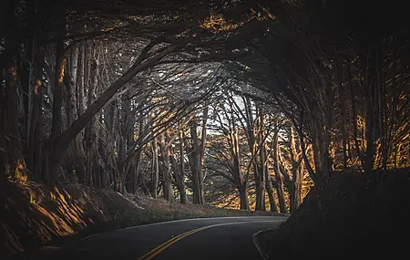 自然 风景 秋天 道路 树木 大气 拱门 米色 电脑 高清壁纸 4171×2346