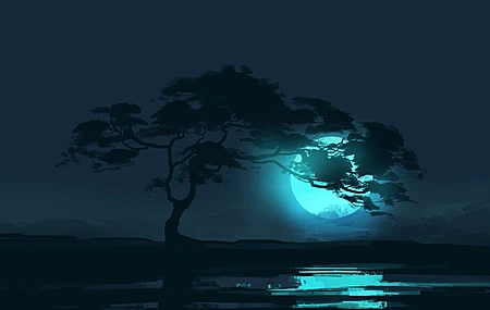 高清树木 风景 夜晚 月亮 月光 反射 极简主义 空间 稀树草原 电脑 手机壁纸 5640×2400