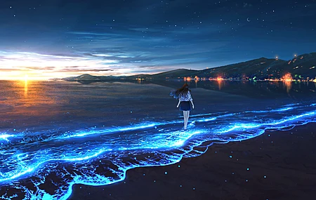 精选日落 海滩 海水 海洋 生物发光 电脑 壁纸 5120×2880